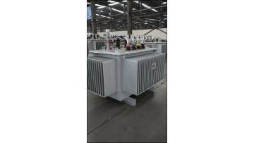 10KV Oil transformer 9