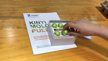 Biodegradable moulded pulp tray for chocolate packaging1