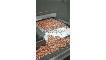 IQF lobster meat output