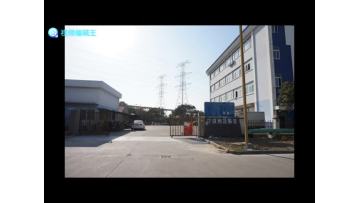 Company overview