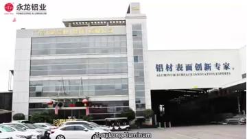 Company Introduction - Yonglong