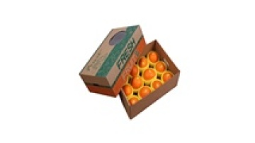 Fruit carton packaging box paper carton for mango1