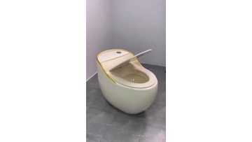 pulse toilet
