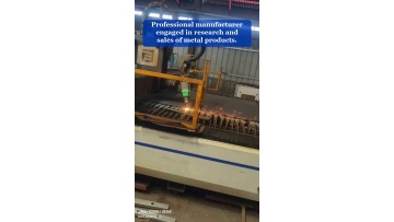 Video 1