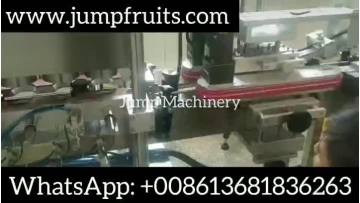 Automatic Filling And Sealing Inkjet Printer