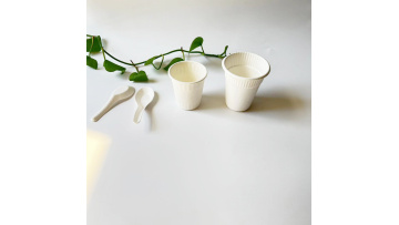 bagasse cup+bowl+spoon