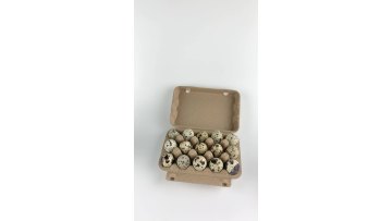 Biodegradable Recycled 12 Holes Paper Pulp Quail Egg Cartons for sale1