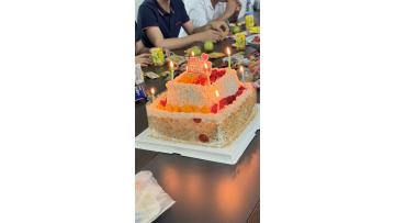 Warm Companion, Celebrate the Birthday Together