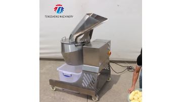 TS-Q1500A commercial vegetable slicer