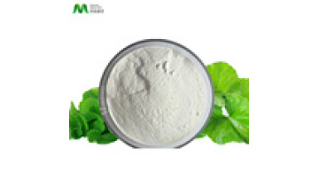 Asiaticoside 98% Gotu Kola Centella Asiatica Powder Extract1