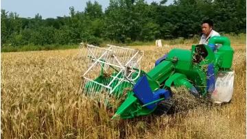 LZ-0.8 4ZRubber Rice Harvester Working-06  (1).mp4