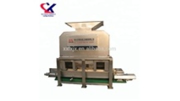 Industrial Stainless Steel Pitaya Fruit Pulp Juice Processing Machine1