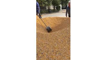 Grain Dryer Actual Operation Process
