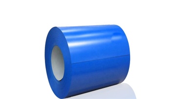 PPGI-03