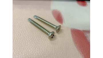 csk head screw and pan head screw