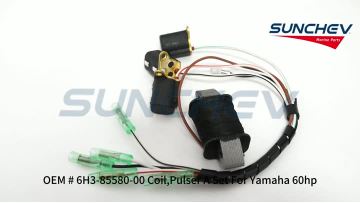 6H3-85580-00 Coil,Pulser A Set 