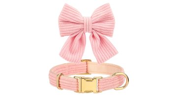 dog harness and leash set