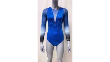 long sleeve gymnastic leotards