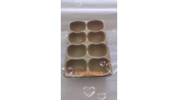 fruit tray molding machine (5)