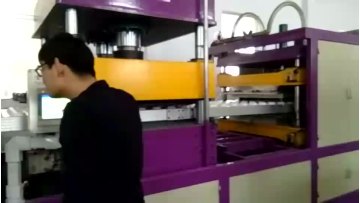 good price polystyrene machine to produce take away foam food plates  , Ellie's WhatsApp : 0086137809127691