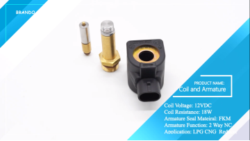 LPG CNG Reducer 12VDC 18W Solenoid Coil With Armat
