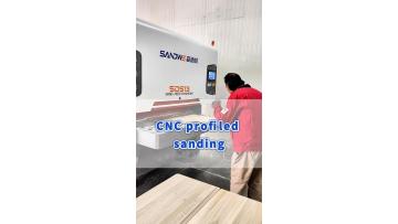 SDS13-Sanding cabinet door panels