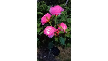 Solar LED Vivid 6 Heads Rose Flower Formative Garden Light Outdoor Waterproof  Park  Pathway Garden Landscape  Decorative1