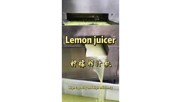 High-efficiency lemon juicer