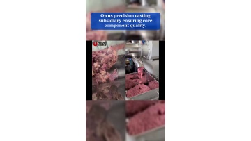 Video 61
