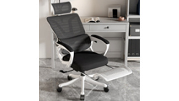 2023 Hot Sale Manual Regulation Full Mesh Ergonomic Lumbar Support Office Chair1