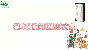 Pet Joint and Bone Supplements car