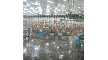slaughterhouse equipment