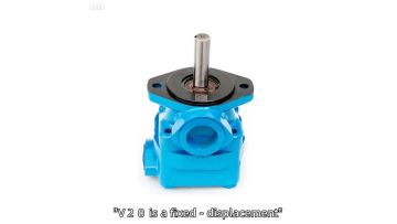 V20 Vane Pump