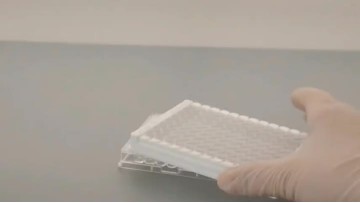 ELISA plate white