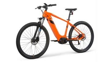 Customized Electric Mtb Bicycle