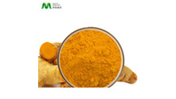 Kosher Certificate Turmeric Curcumin 95%1