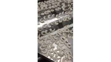 plate belt for IQF shrimp meat
