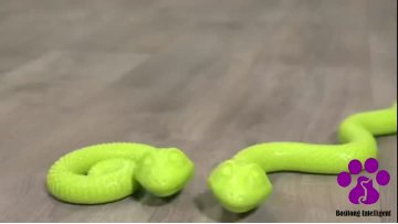 Pet toy snake-10/29