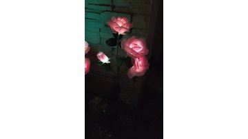 Solar LED Colorful  Vivid 4Heads Rose Flower Formative Garden Light Outdoor Waterproof Park Pathway Garden Landscape  Decoration1