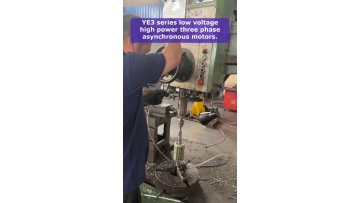 Video 18