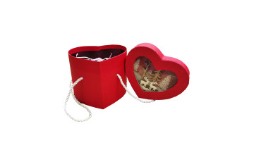heart shape box