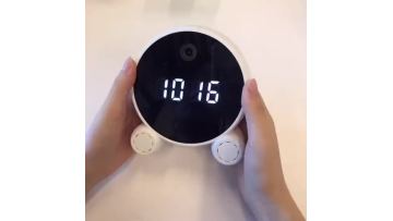 v300
