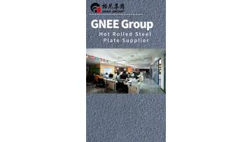 GNEE Group Office Environment Showcase