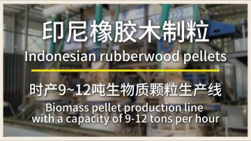 How to produce rubberwood pellets with a capacity of 9-12 tons per hour | customer case