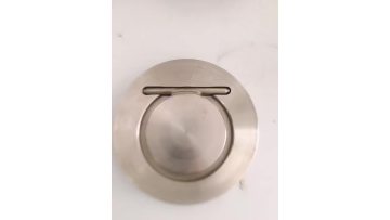 single plate check valve.mp4