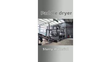 paddle dryer11