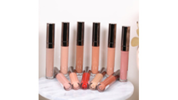 OEM custom makeup liquid lipstick lip gloss Private Label vegan Lip Gloss Vendor1