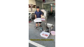 Watermelon Juicing Machine Fruit and Vegetable Juice Extractor 