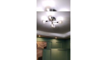 Black gold metal modern ceiling lamp