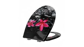 Fanmitrk Toilet Seat UF819-22